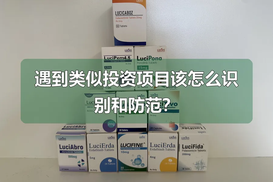 遇到类似投资项目该怎么识别和防范?